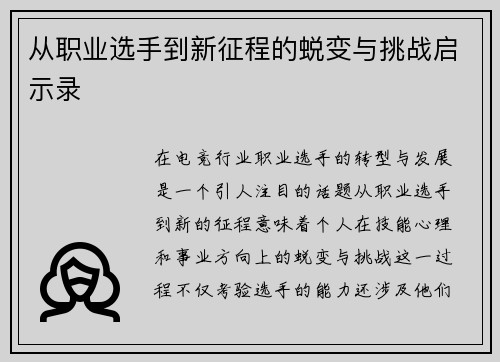 从职业选手到新征程的蜕变与挑战启示录