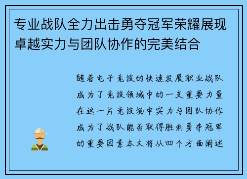 专业战队全力出击勇夺冠军荣耀展现卓越实力与团队协作的完美结合