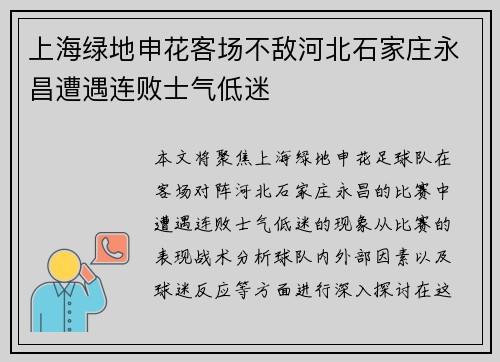 上海绿地申花客场不敌河北石家庄永昌遭遇连败士气低迷