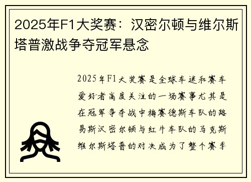 2025年F1大奖赛：汉密尔顿与维尔斯塔普激战争夺冠军悬念