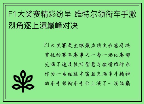 F1大奖赛精彩纷呈 维特尔领衔车手激烈角逐上演巅峰对决
